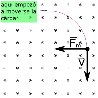 La carga se desplaza con una velocidad dirigida en el sentido negativo del eje y apareciendo una fuerza magnética en el sentido negativo del eje x debida al campo magnético dirigido en el sentido positivo del eje z. 